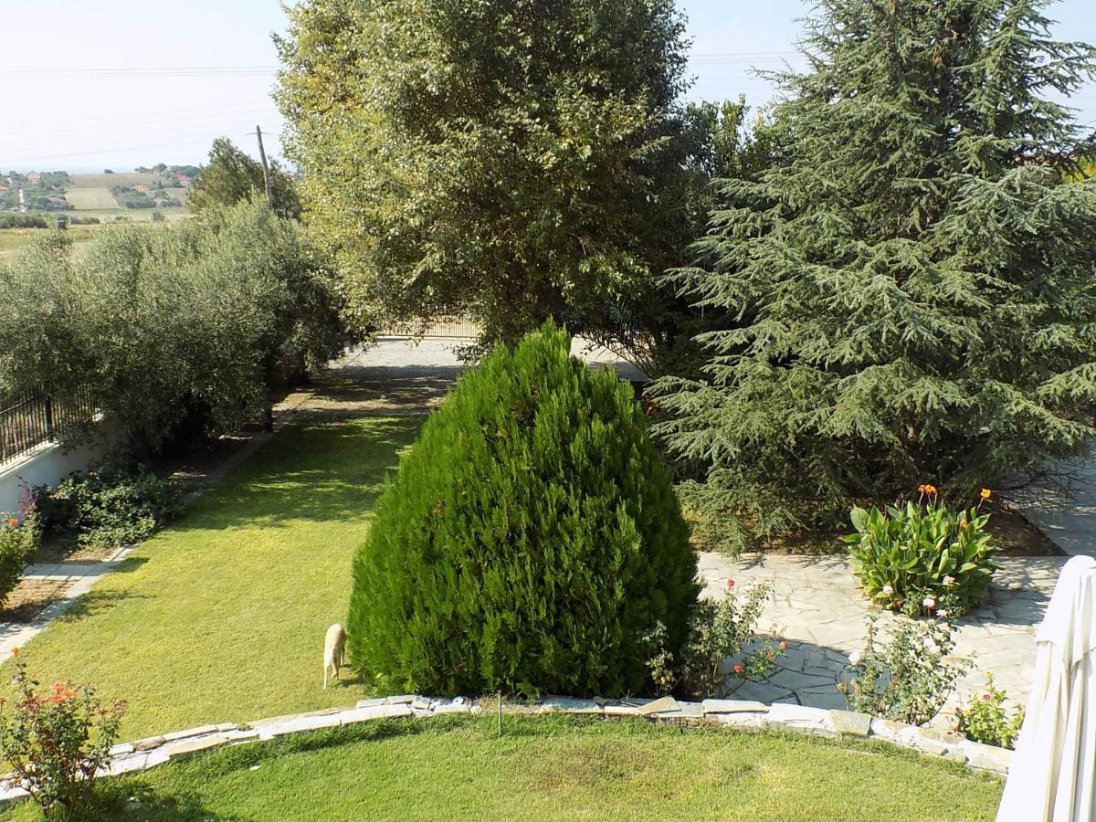 ניאה אירקליה Villa Orestis Melina מראה חיצוני תמונה